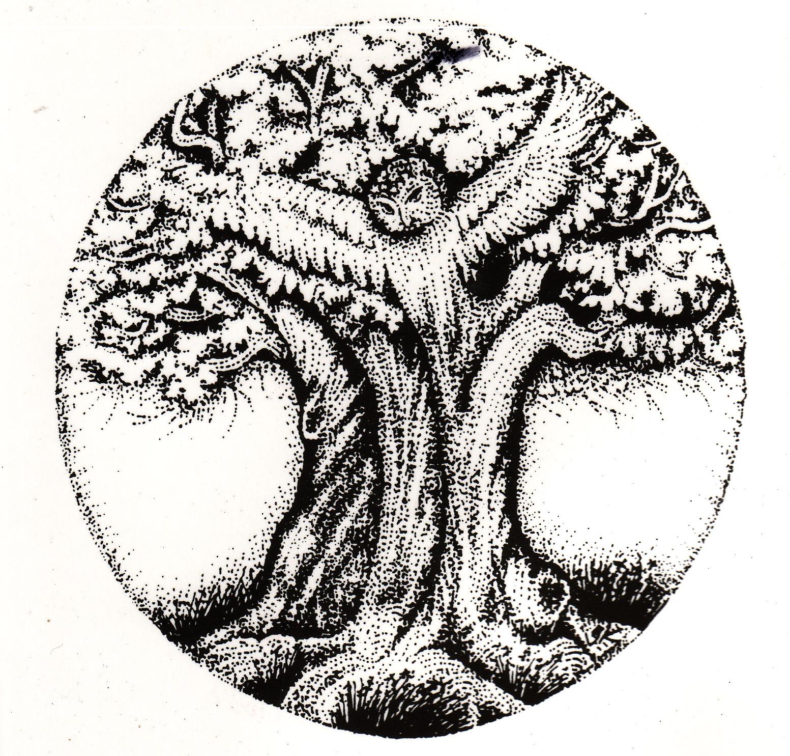 Black & white drawing of owl in a tree logo