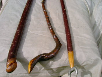 Livewood wands made by shaman Peter Aziz